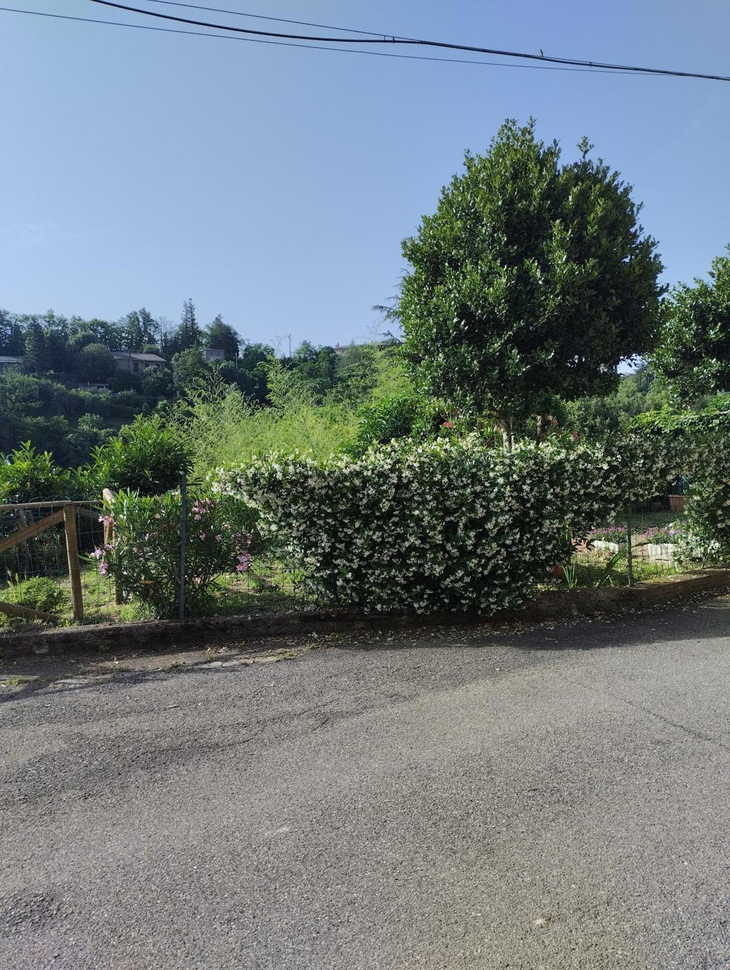 Casavacanzetorresansevero Orvieto Exterior foto